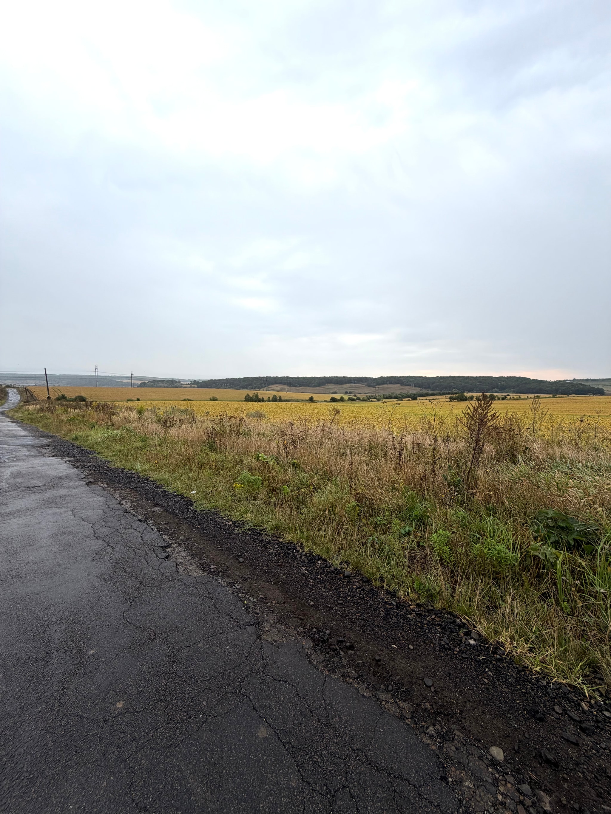 Оренда земельної ділянки с. Колодіївка 5 хв від міста  - 8